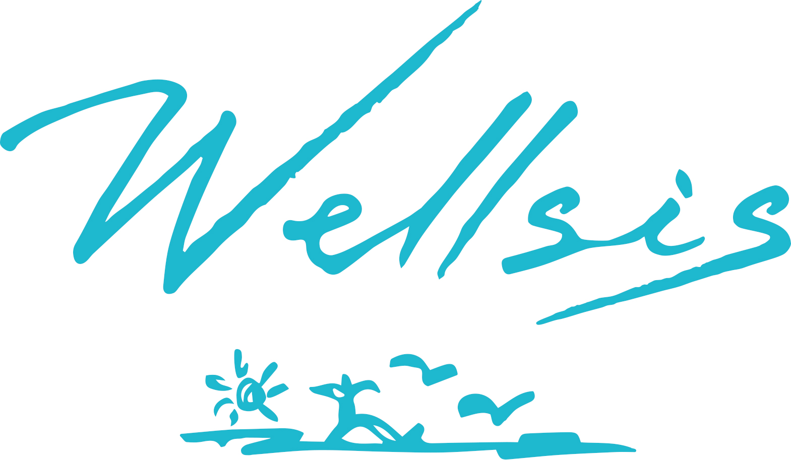 株式会社Wellsis（ウェルシス）